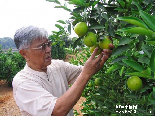 商院關注：盤點中國十年來出獄企業家